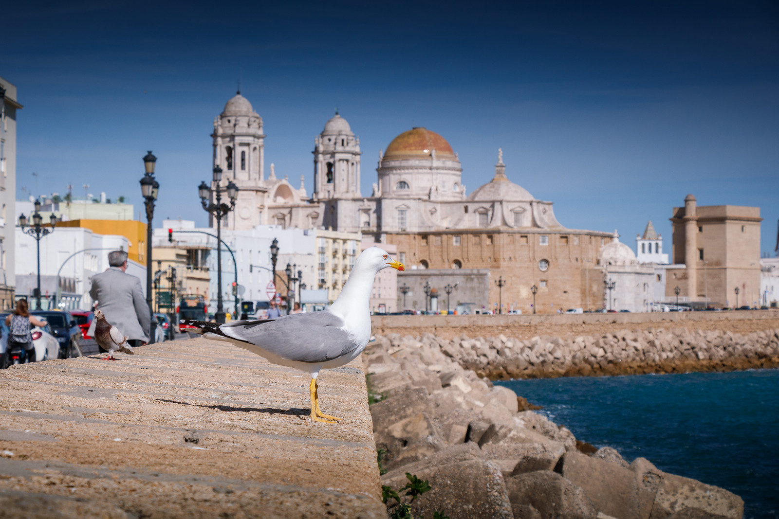 Cádiz